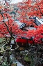 mk体育在线官网首页电脑版-MK体育，在线官网首页电脑版为您打造全新观赛体验