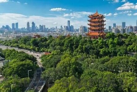体球比分之足球比分-体球比分之足球比分，绿茵场上的数字交响曲